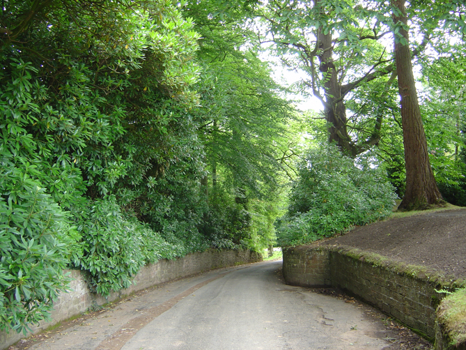 Approach road to Edmond Castle